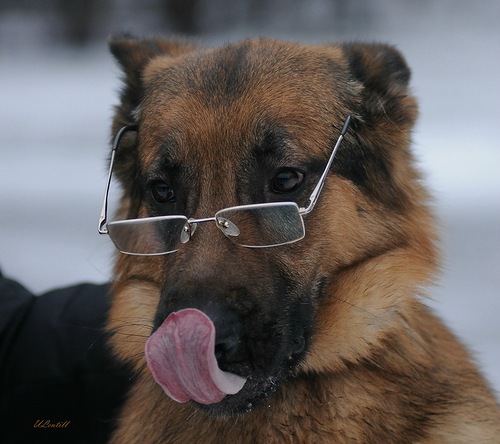 Юрий Афонин