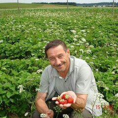 Александр Боргер