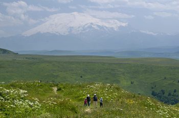 Наталья Закалюжная