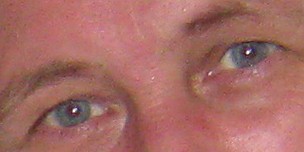 Влада Дашевская