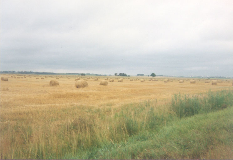 Игорь Егиян Гусев