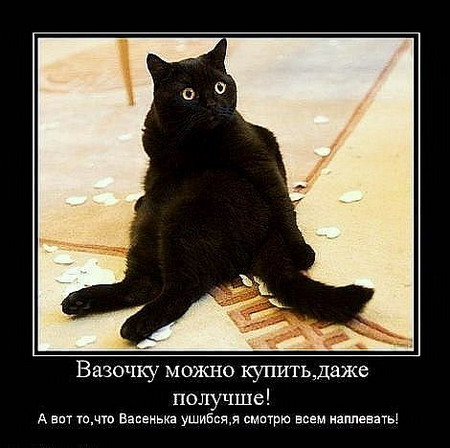 Конфи