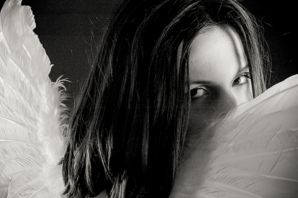 Кошка Чёрная Обыкновенная