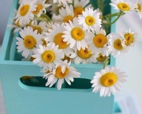 Будем Как Солнце