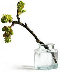 Диана Цвейг