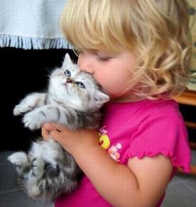 Дронн Светкин