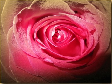 Про Аленький Цветочек