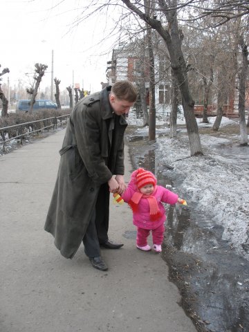 Серый Аспид