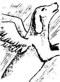 Александр Петруша