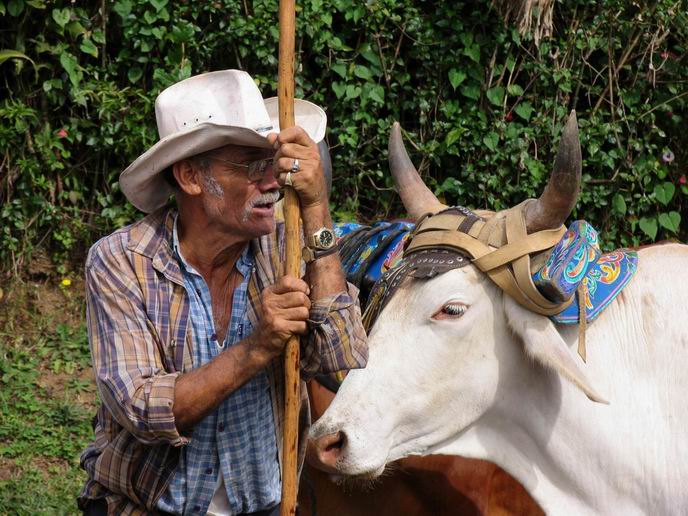 Ян Костылев