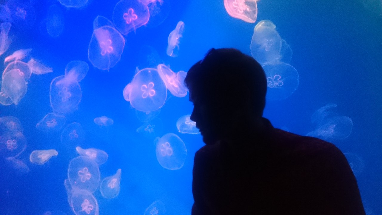 Харитончик Андрей