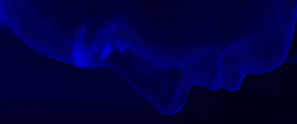 Андрей Никач