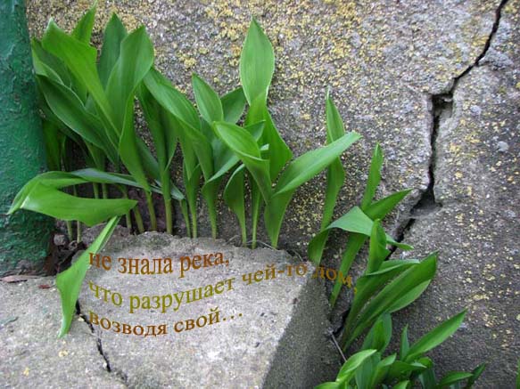 Виталий Шумакшо