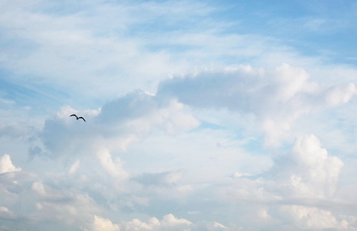 Анна Филимонова Хайку