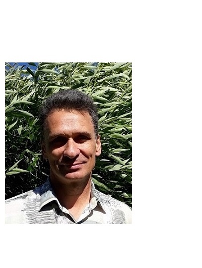 Анатолий Голиков