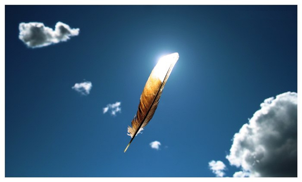 Дмитрий Архипский