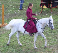 Поль д Артуа