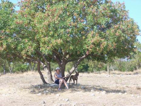 Валентина Ратушная