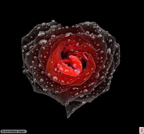 Случайный Пассажир