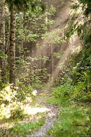 Кожухова Татьяна