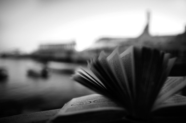 Стариков Владимир