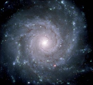 Александр Решетин