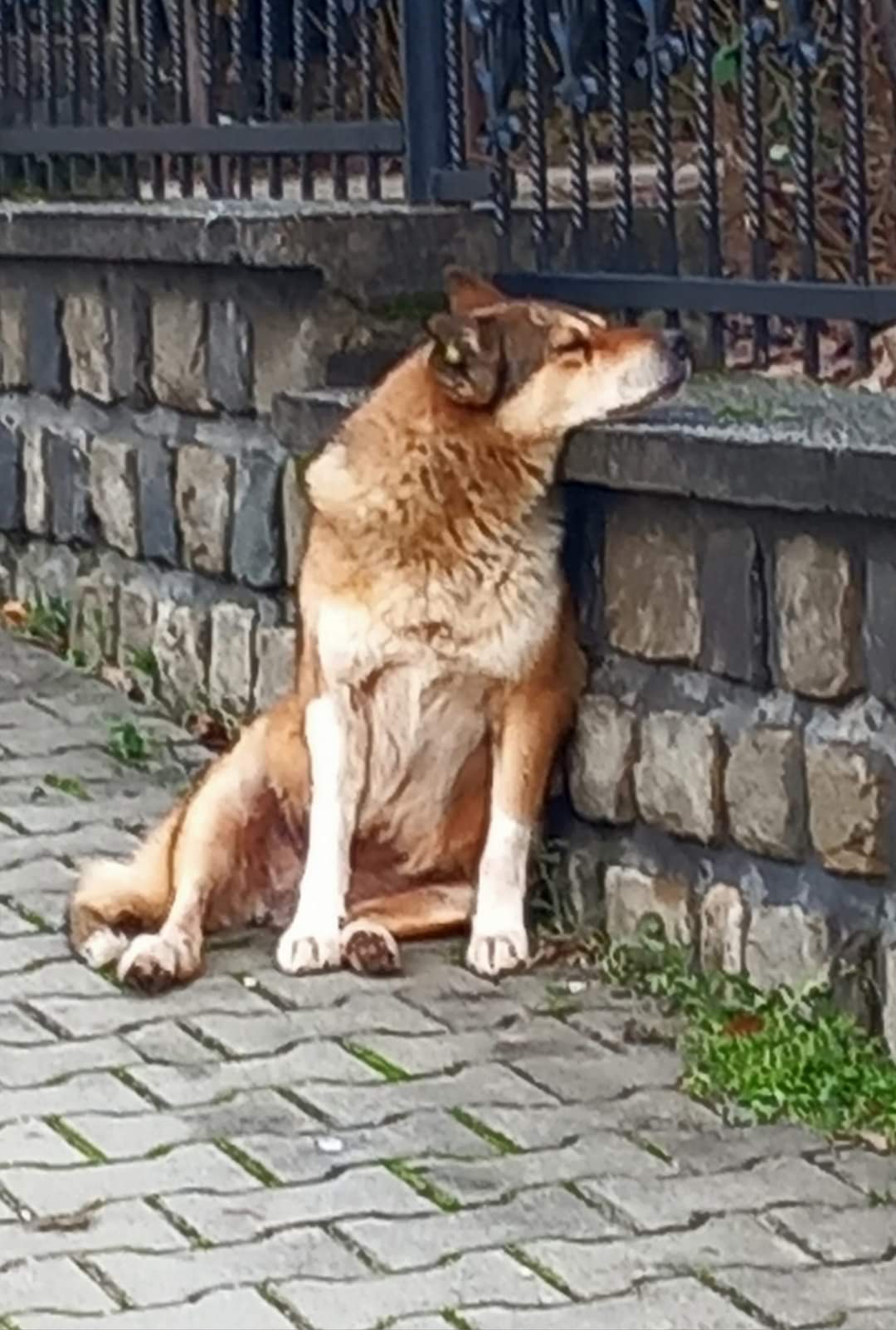 Иван Бугров