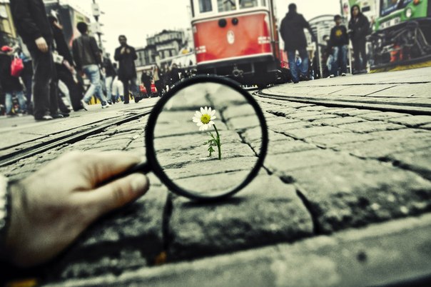 Буточкин Андрей