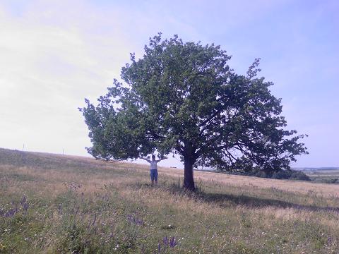 Сергей Мордвинцев