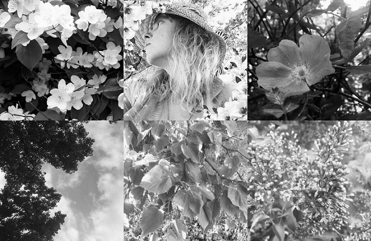 Дарина Павлова