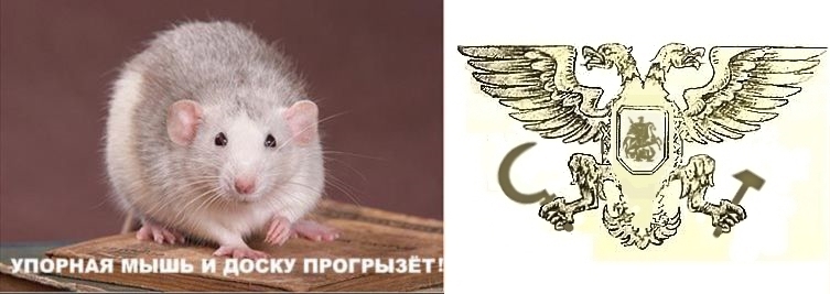 Марат Зуфарович Салихов