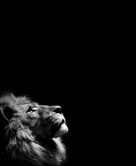 Григорий Чугунов