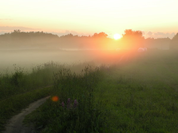 Наташа Михайлова