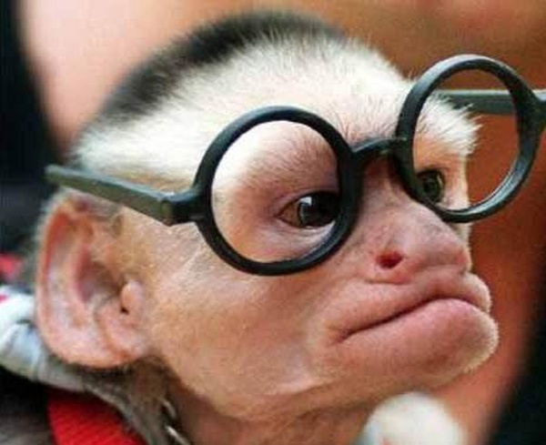 Вун Дер Кинд