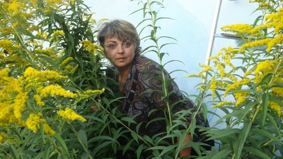 Кохшка