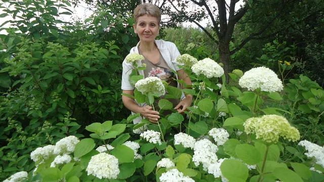 Данки Ирина