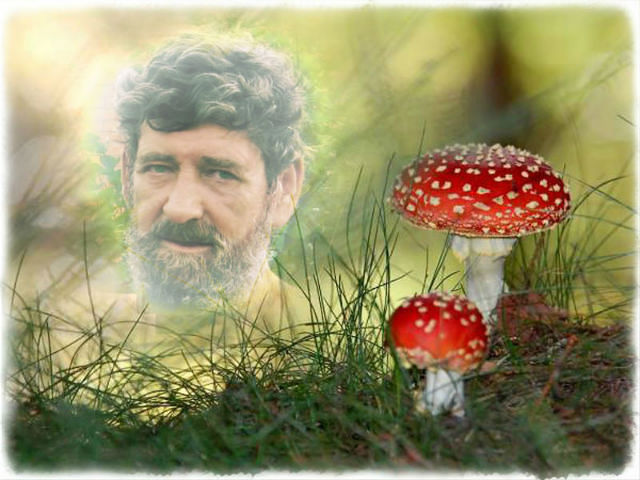 Валерий Сергеевич Поваляев