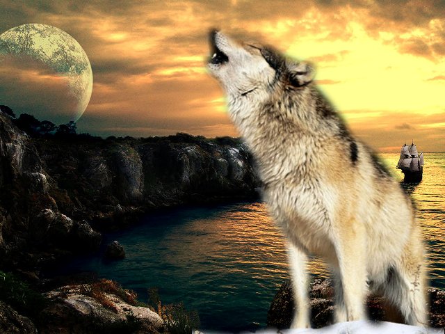 Марина Дорих