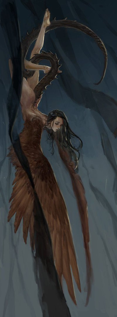 Диана Шевченко