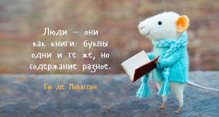Этичная Богамышь
