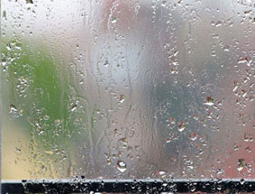 Эдвард Варшавский