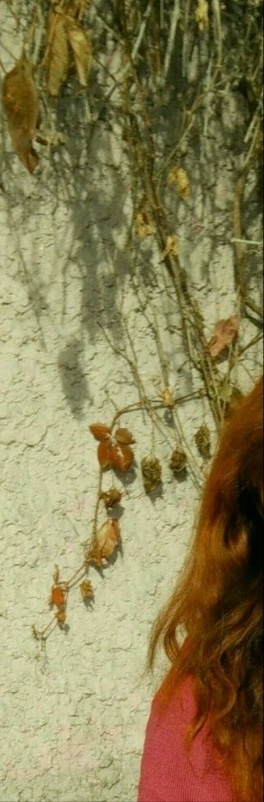 Литке Елена