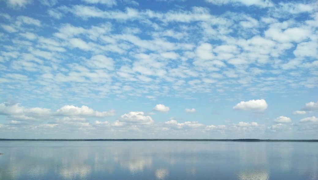 Эльвира Тишина