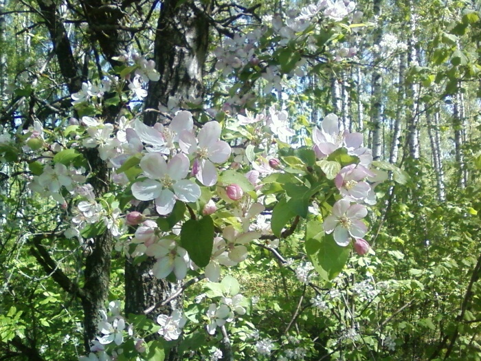 Женя Балашова