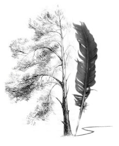 Владимир Негинский