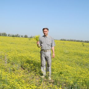 Владимир Фантров