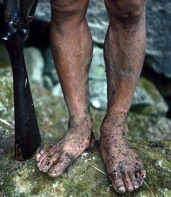 Фениморьев