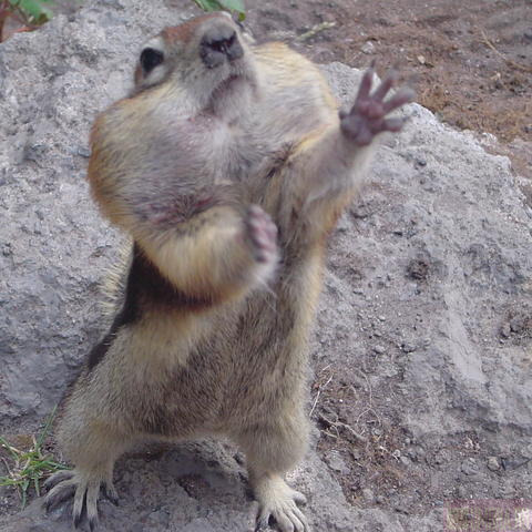 Наталья Бочкарева