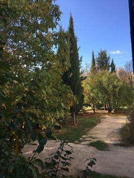 Надежда Ревазова