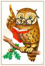 Совушкины Штудии